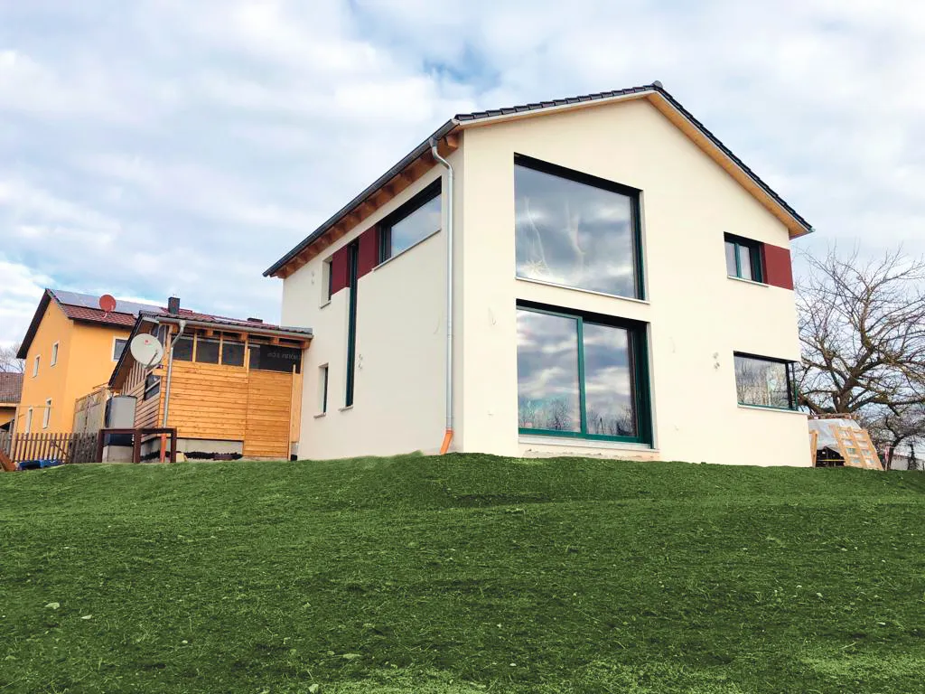 auf_den_baum_gekommen_bearb