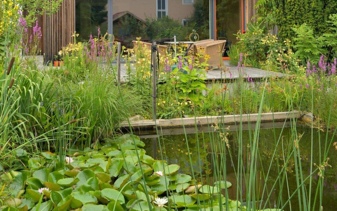 Gartengestaltung mit Wasser – natürlich, lebendig