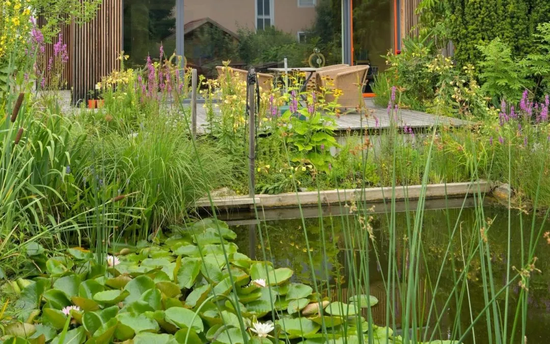 Gartengestaltung mit Wasser – natürlich, lebendig