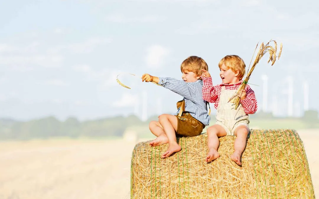 Strohplatten – jahrhundertealter Baustoff innovativ verbaut