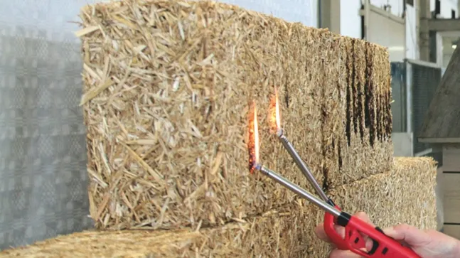 Strohplatte die mit Feuerzeug auf Feuerfestigkeit getestet wird