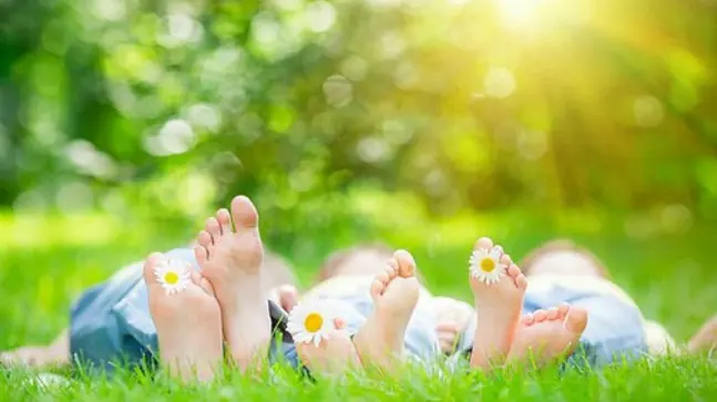 Unterseite von 6 Füßen die 3 Personen gehören, diese liegen auf einer Grasfläche mit Strahlender Natur und Sonnenschein im Hintergrund. Zwischen den Zähen der Füße ist eine Gänseblume pro Person .